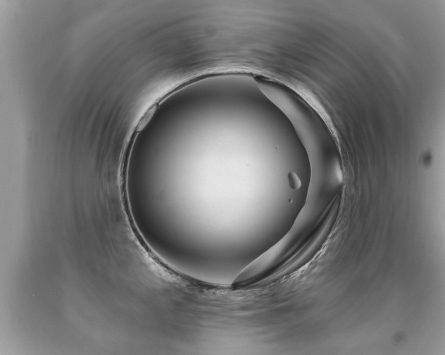X0000091931197200709051455