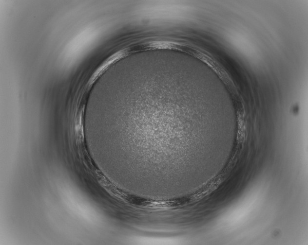 X0000091931198200709051455