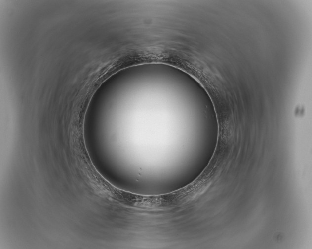 X0000091931201200709051454
