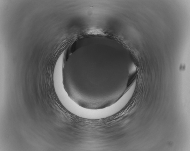 X0000091931202200709051454