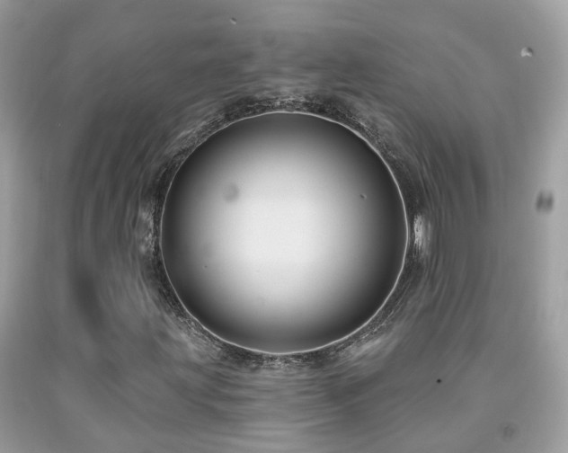 X0000091931203200709051454