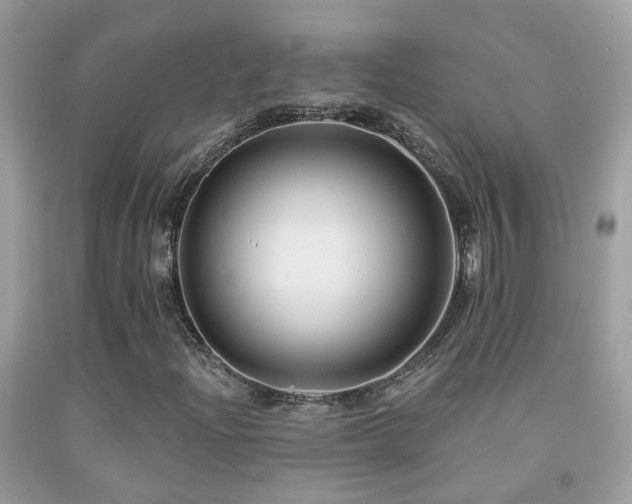 X0000091931204200709051454