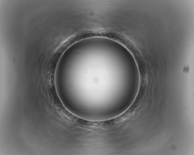 X0000091931205200709051454