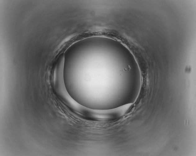 X0000091931206200709051454