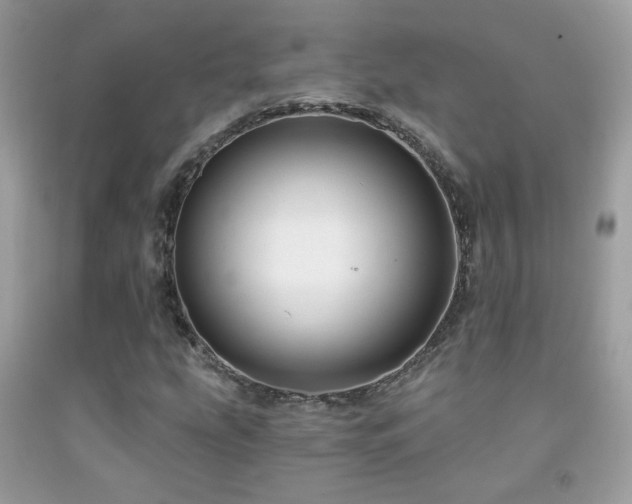 X0000091931207200709051454
