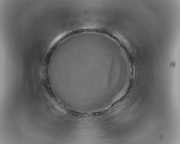 X0000091931208200709051454