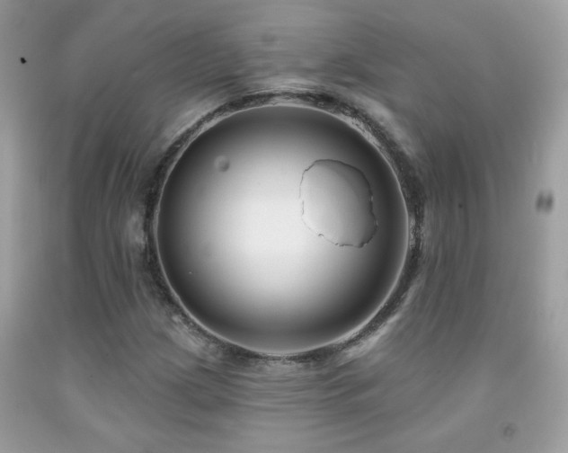 X0000091931209200709051454