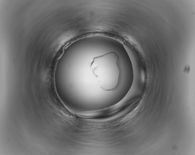 X0000091931210200709051454