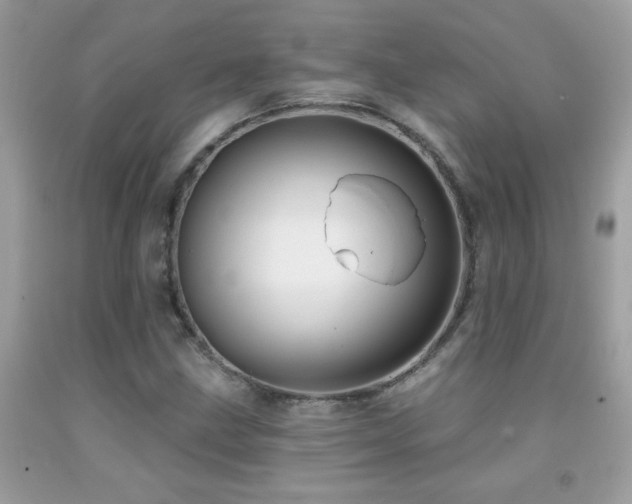 X0000091931211200709051454