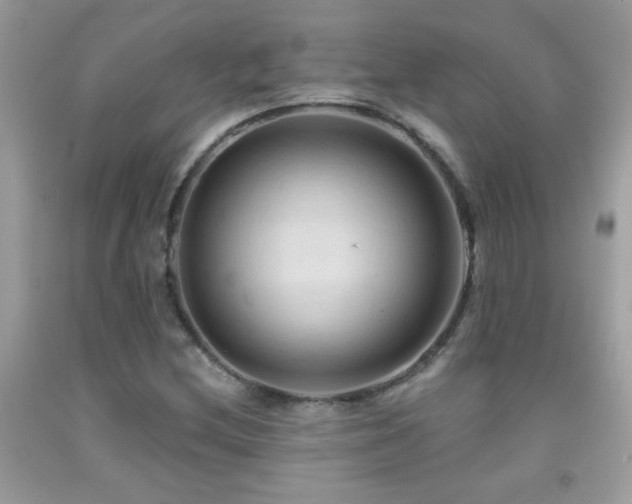 X0000091931212200709051454
