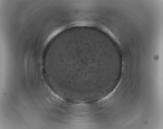 X0000091931213200709051454