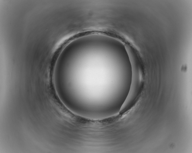 X0000091931214200709051454