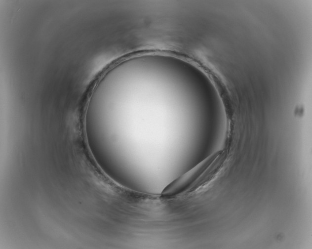 X0000091931215200709051454