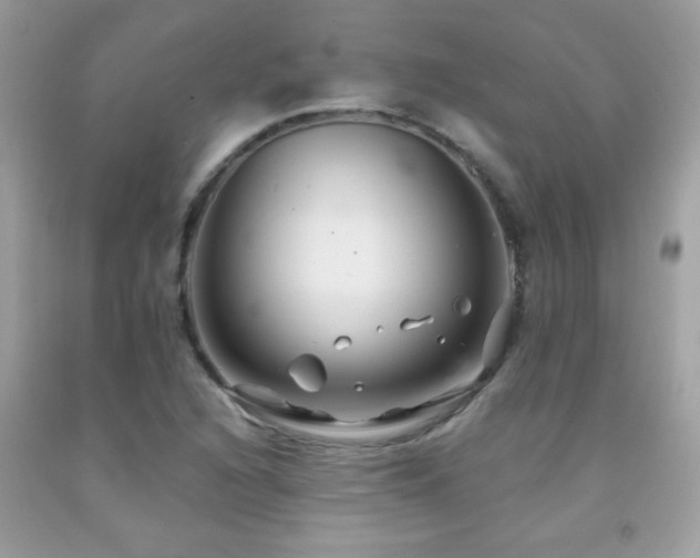 X0000091931216200709051454