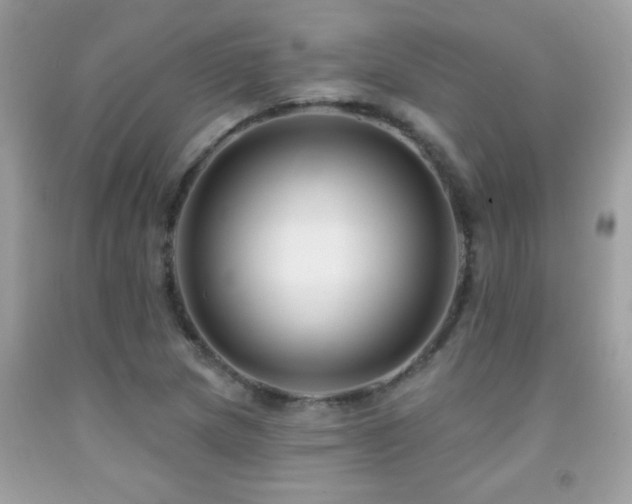 X0000091931217200709051454
