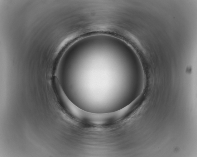 X0000091931218200709051454