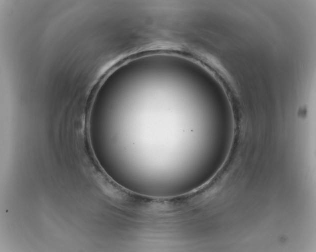X0000091931220200709051454