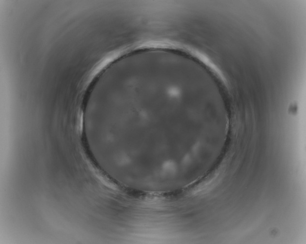 X0000091931221200709051454