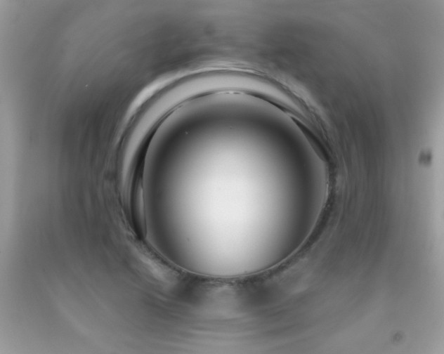 X0000091931222200709051454