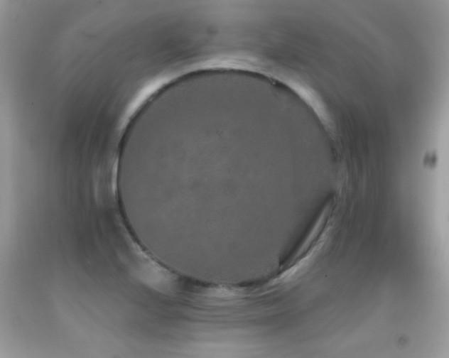 X0000091931224200709051454
