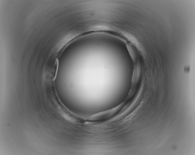 X0000091931225200709051454
