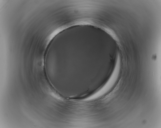 X0000091931226200709051454