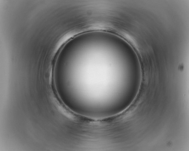 X0000091931227200709051454