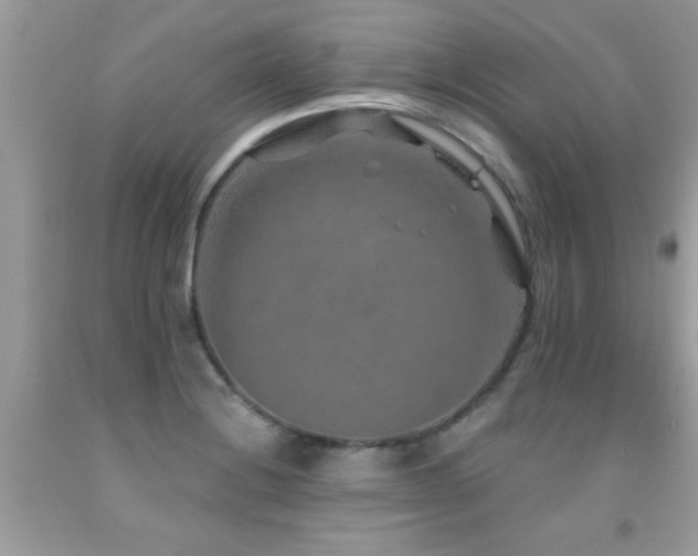 X0000091931228200709051454
