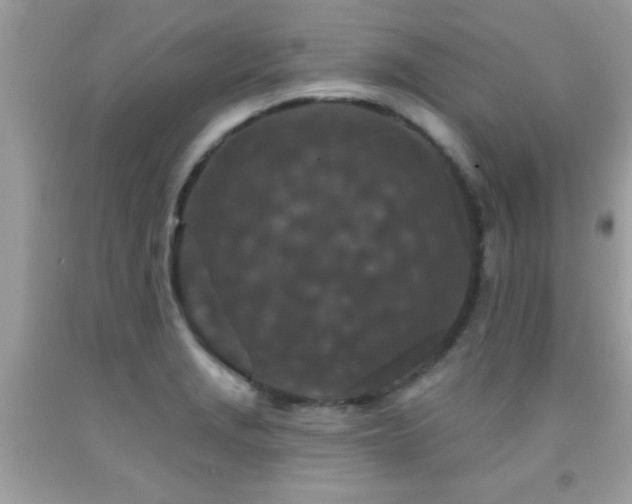 X0000091931229200709051454