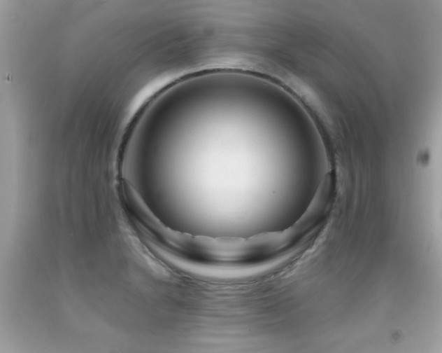X0000091931230200709051454