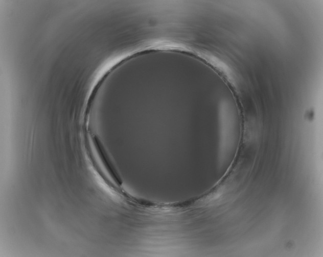 X0000091931231200709051454