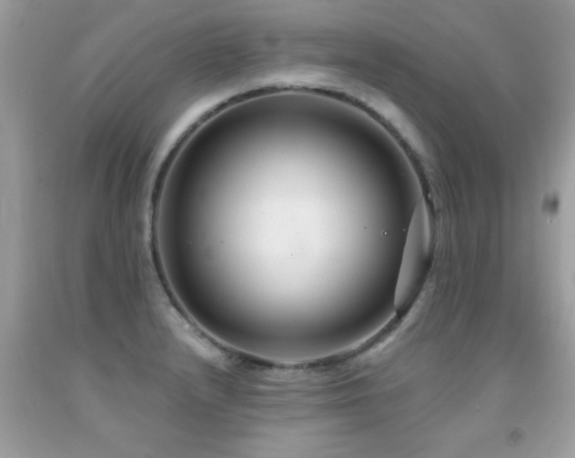 X0000091931232200709051454