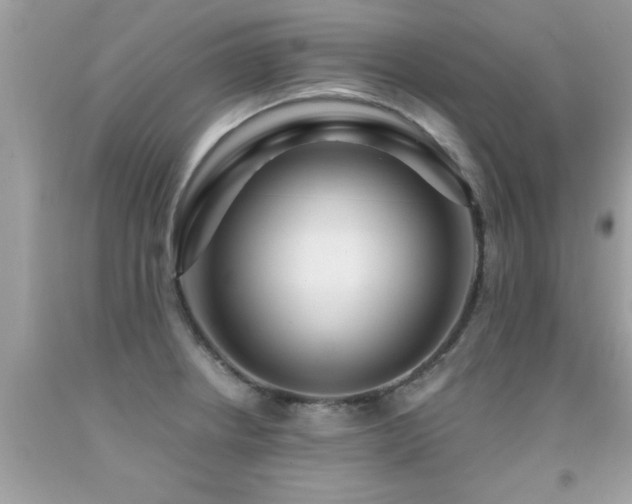 X0000091931234200709051455