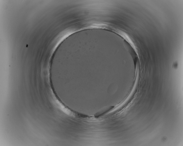 X0000091931235200709051455