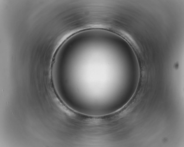 X0000091931236200709051455