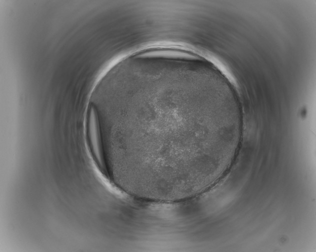 X0000091931237200709051455