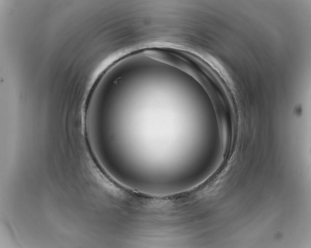 X0000091931238200709051455