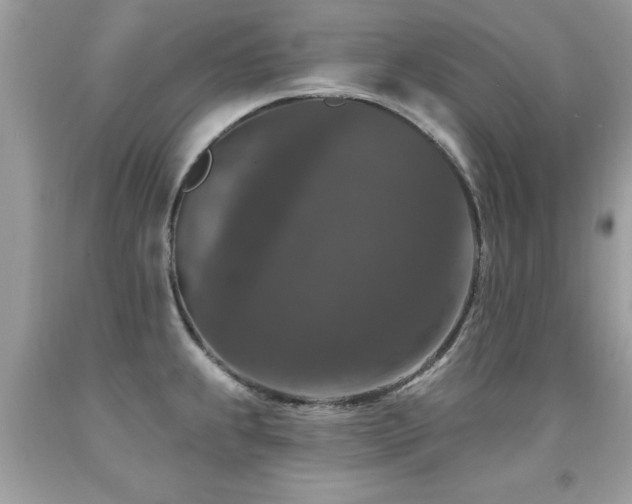 X0000091931239200709051455