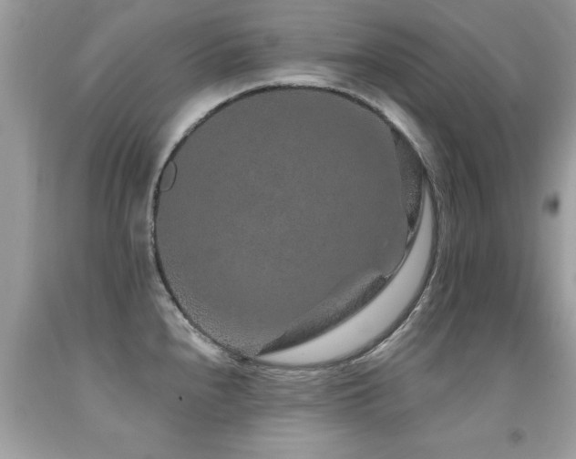 X0000091931240200709051455