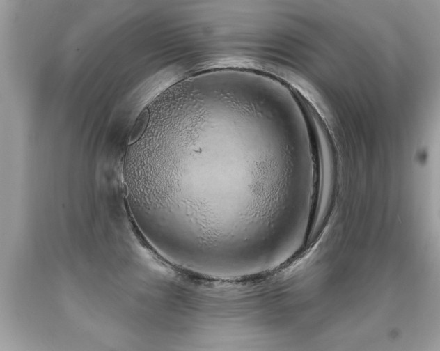X0000091931241200709051455