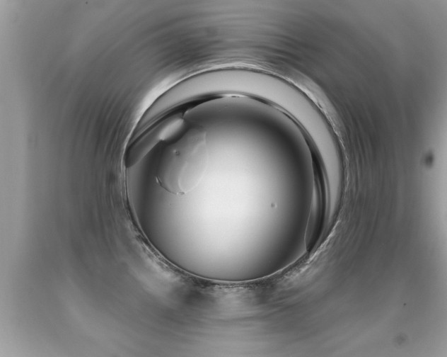 X0000091931242200709051455