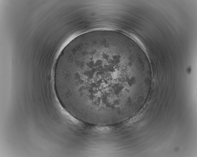 X0000091931243200709051455