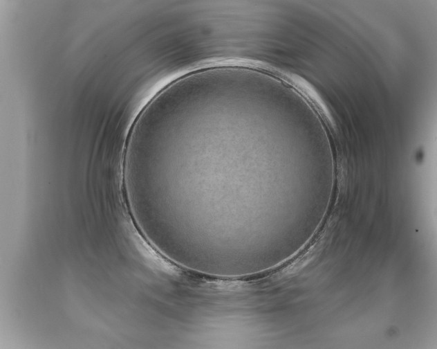 X0000091931244200709051455