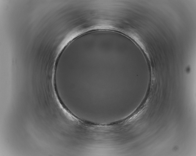 X0000091931245200709051455
