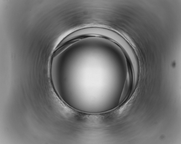 X0000091931246200709051455