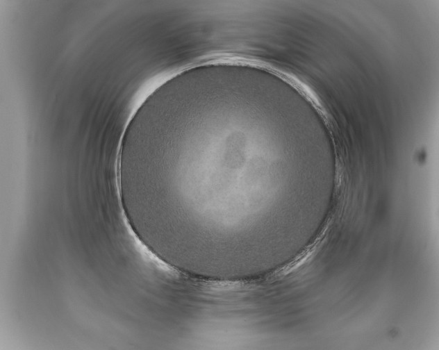 X0000091931247200709051455