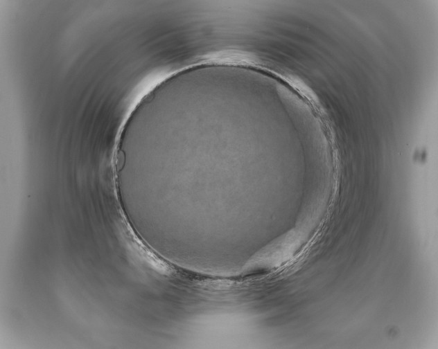 X0000091931248200709051455