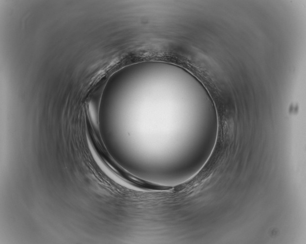 X0000091931250200709051454
