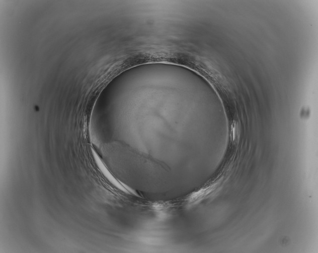 X0000091931251200709051454