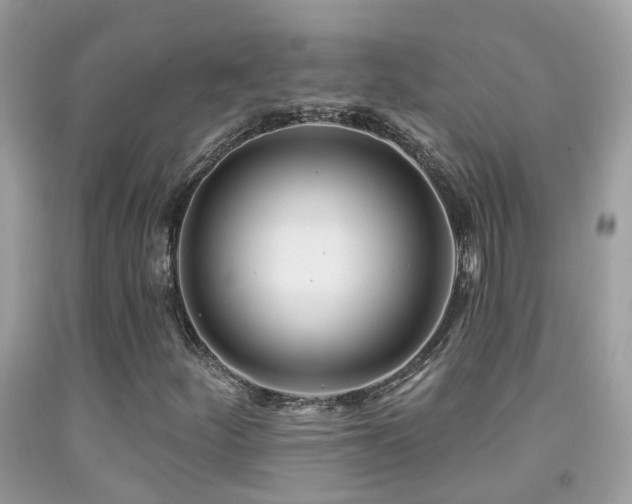X0000091931252200709051454